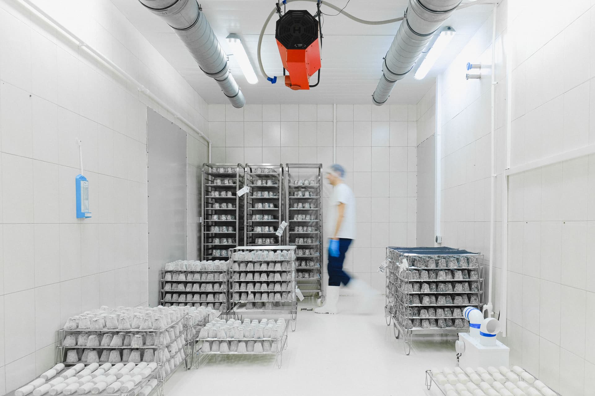 Bright industrial cold room with ceiling ducts, storage racks and a worker