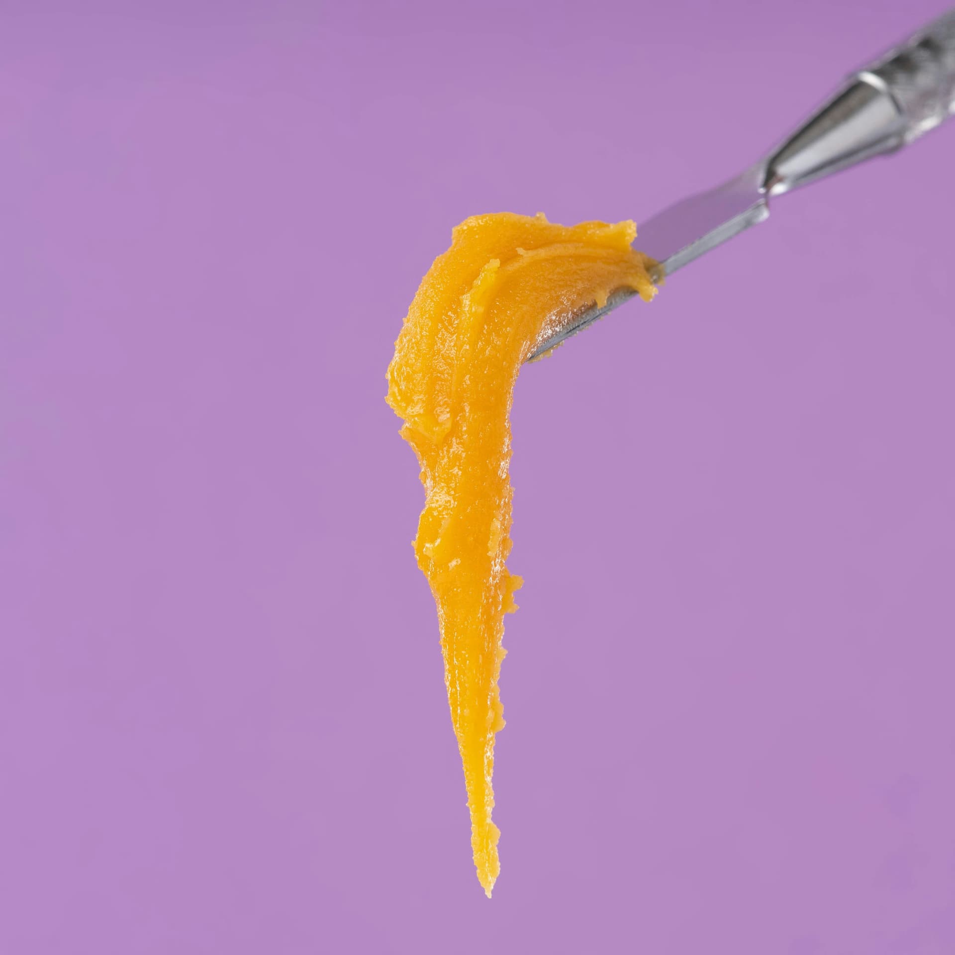 Golden cannabis budder concentrate on a metal tool against a purple background