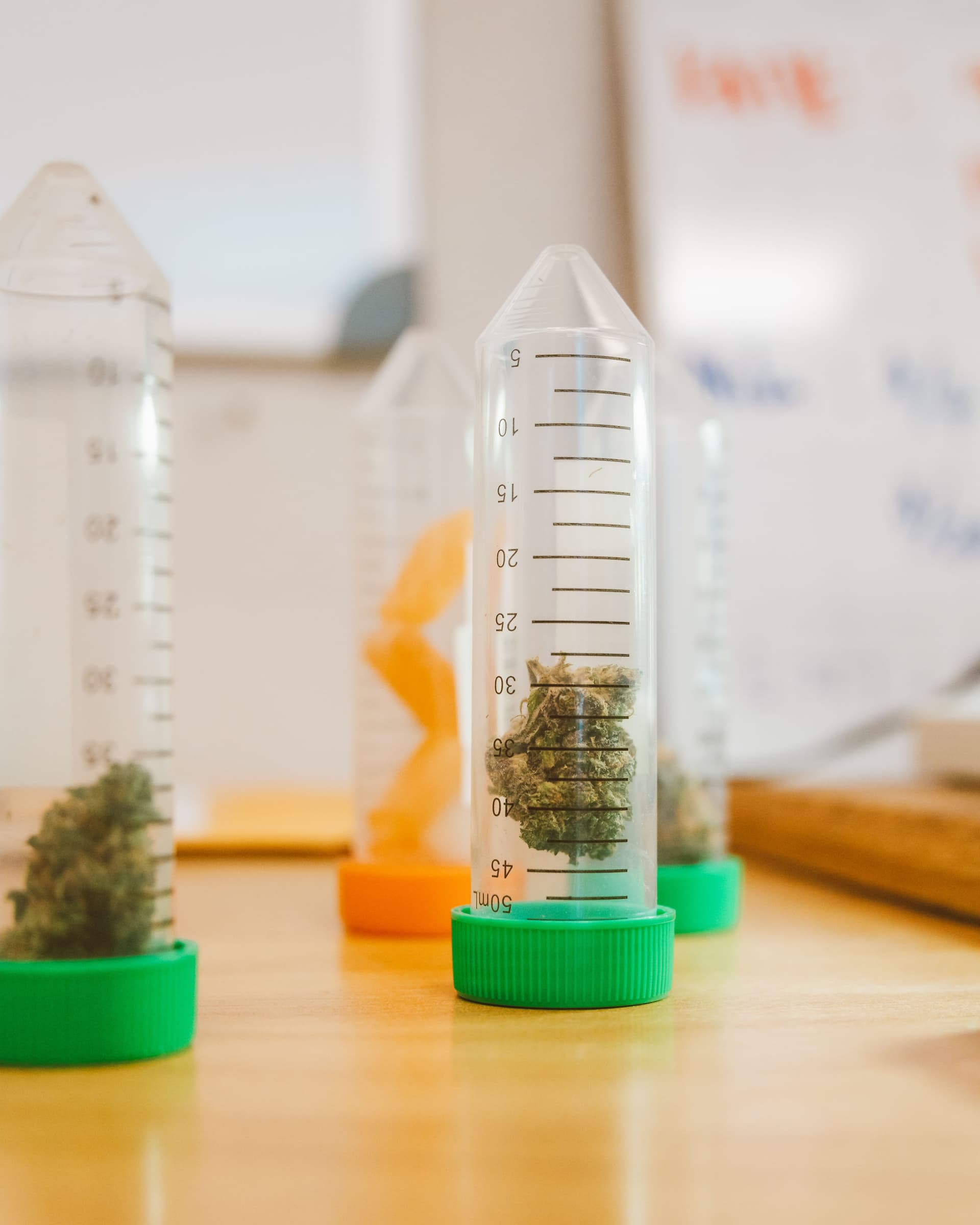 Separate cannabis buds stored in multiple laboratory sample containers