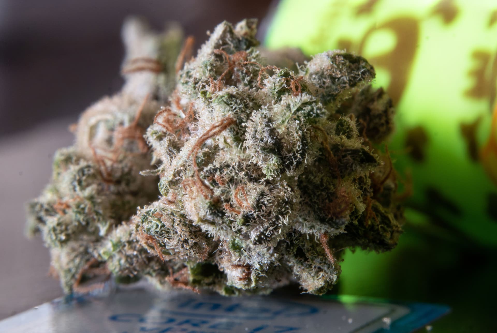 Extreme macro view of resinous trichomes covering cannabis flower