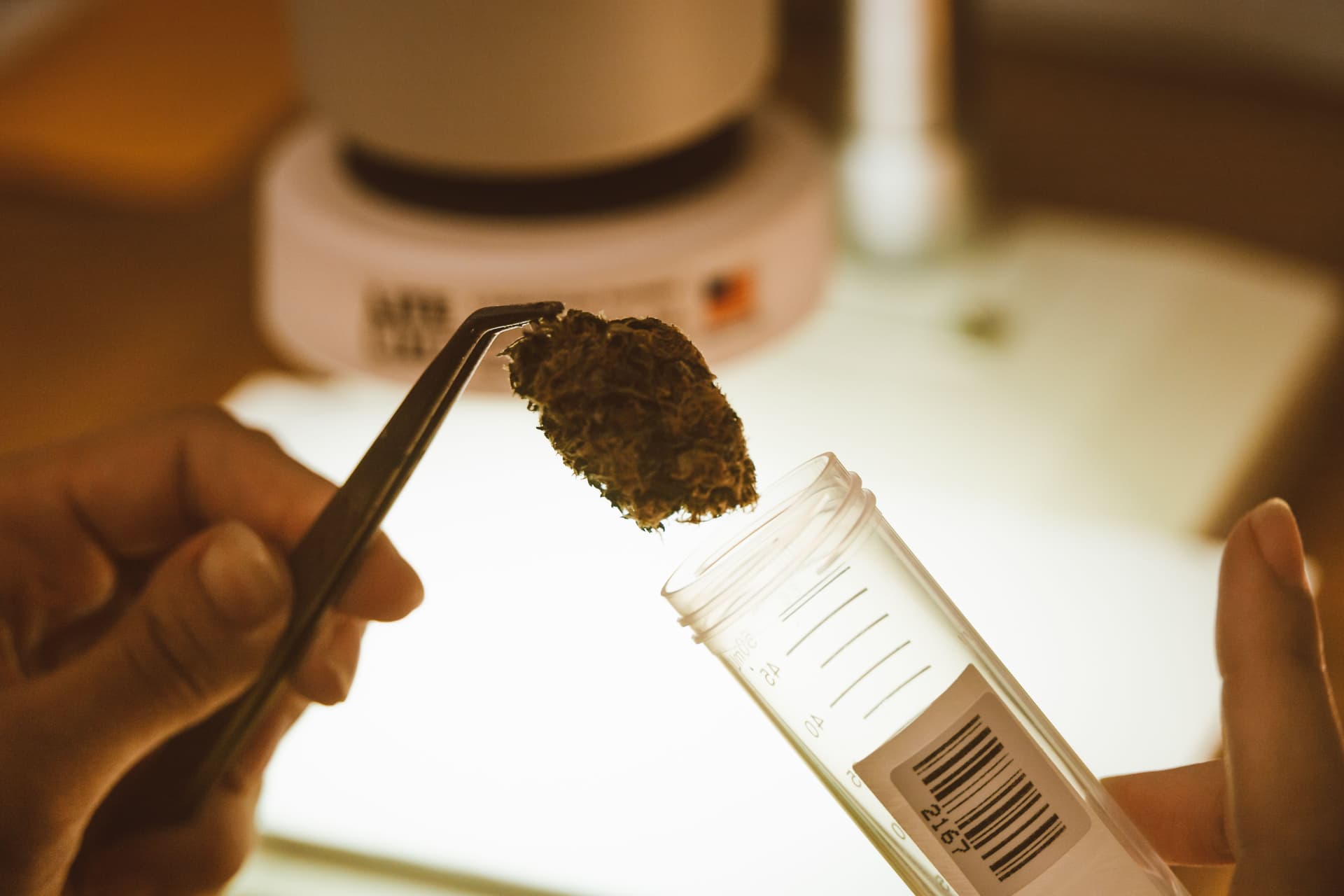 Cannabis sample sealed in a labeled laboratory tube